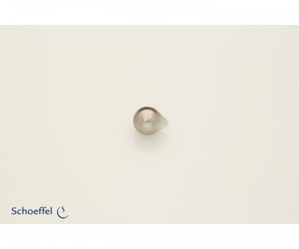Tahiti-Zuchtperle 12-13 mm