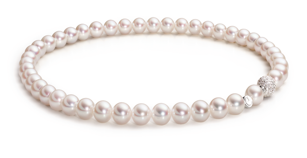 Choker_Akoya-ZP_Schoeffel-Collier