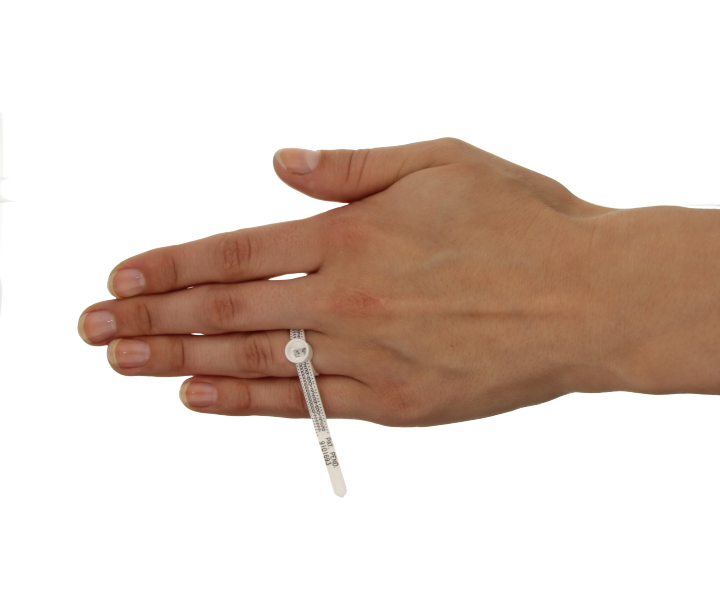 Ringmass-3