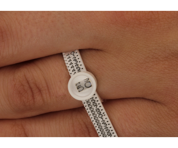 Ringmass-4